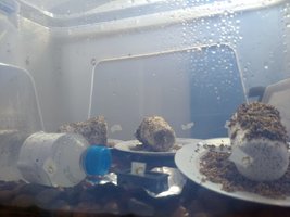 photo1.jpeg