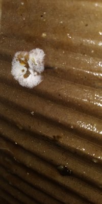 IMG-20190307-WA0027.jpeg
