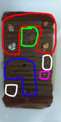 IMG-20190307-WA0024.jpeg
