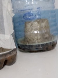 20190307_192401_Easy-Resize.com.jpg