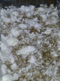 20190307_201135_Easy-Resize.com.jpg