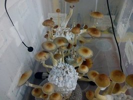 IMG_20180812_171914588.jpg