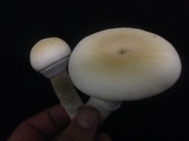 105878