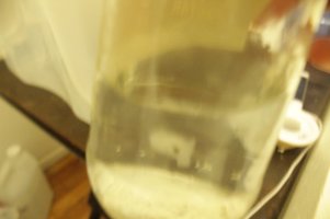 IMG_5833.JPG