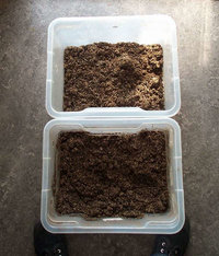 pan-cyan-tropic-cultivation004.jpg