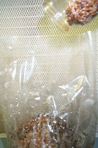 pan-cyan-tropic-cultivation011.jpg