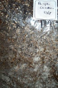 pan-cyan-tropic-cultivation014.jpg