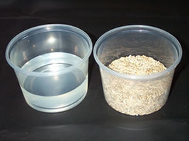 06 - water_and_rye.jpg