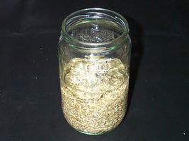 07 - water_and_rye_in_jar.jpg