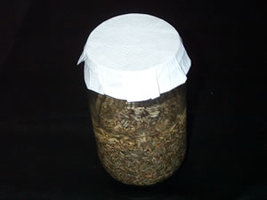 09a - jar_and_tyvek.jpg