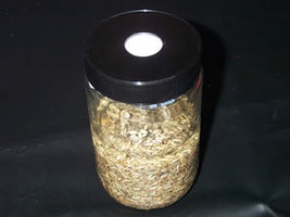 09b - jar_tyvek_and_lid.jpg