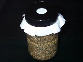 10 - jar_and_filterdisk.jpg