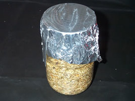 11 - jar_ready_sterilisation.jpg