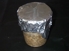 13 - microbox_foil.jpg