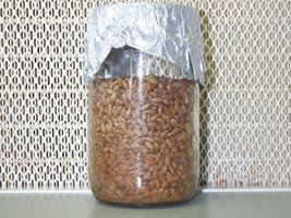 23 - jar_sterilised.jpg