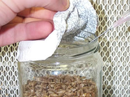 26 - jar_inoculation_spores.jpg