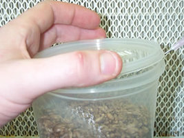 27 - inoculation_microbox.jpg