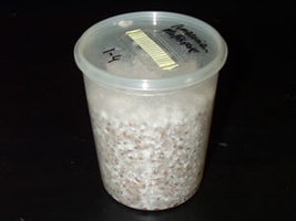41 - microbox_ready.jpg