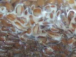 45 - contamination2.jpg