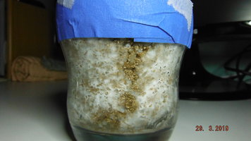 DSCF3889.JPG