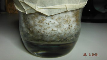 DSCF3890.JPG