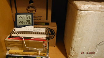 DSCF3891.JPG
