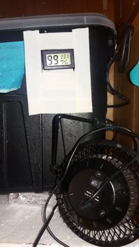 20190323_125220.jpg