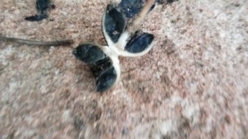 20190331_154934.jpg