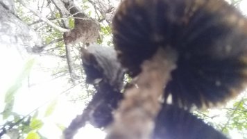 20190331_154713.jpg