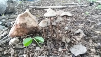 20190331_154554.jpg