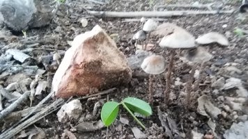 20190331_154552.jpg