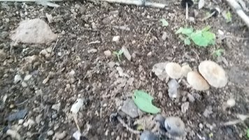 20190331_154542.jpg