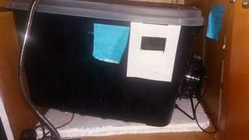 20190331_185306.jpg
