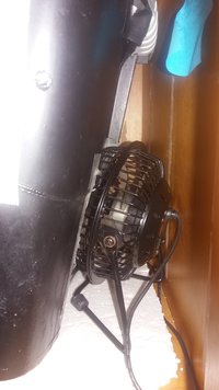 20190331_185317.jpg