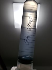 20190402_085320.jpg
