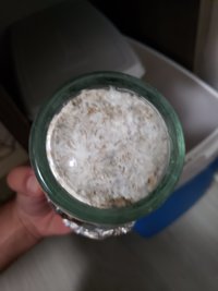 20190402_172901.jpg