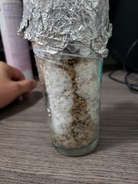 20190402_172915.jpg