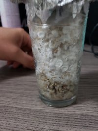20190402_172934.jpg