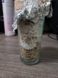 20190402_172823.jpg