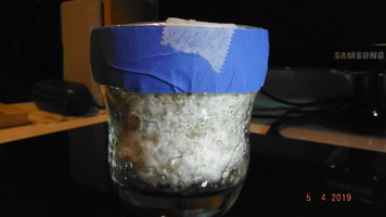 DSCF3893.JPG