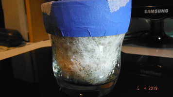 DSCF3895.JPG
