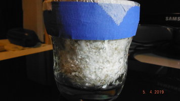 DSCF3896.JPG
