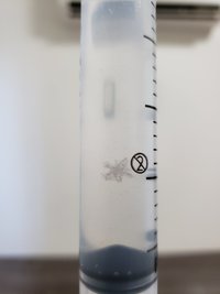 20190409_081334.jpg