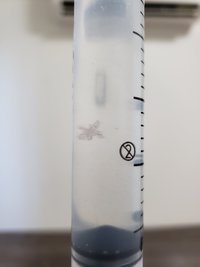 20190409_081329.jpg