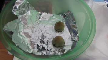 IMG_0193.JPG