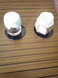 20190324_111843.jpg