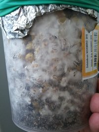 20190412_135812[1].jpg