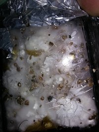 20190419_201935[1].jpg