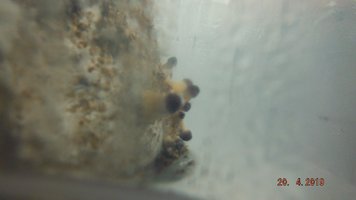 DSCF3920.JPG