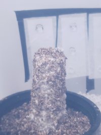 20190421_231147.jpg